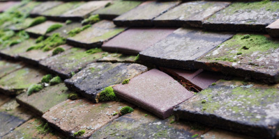 Ellesborough roof repair costs